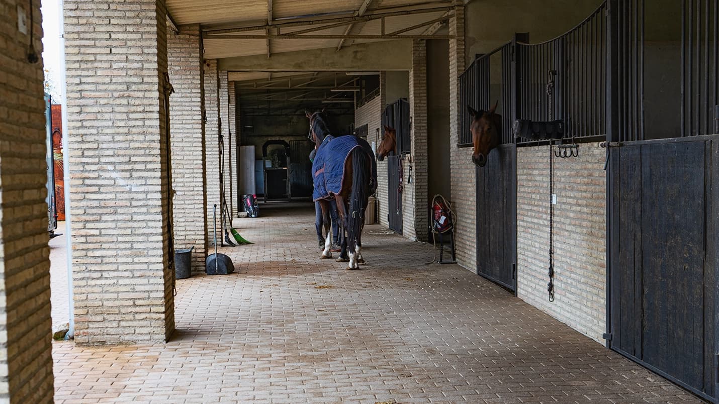 Donde tu caballo se siente en casa