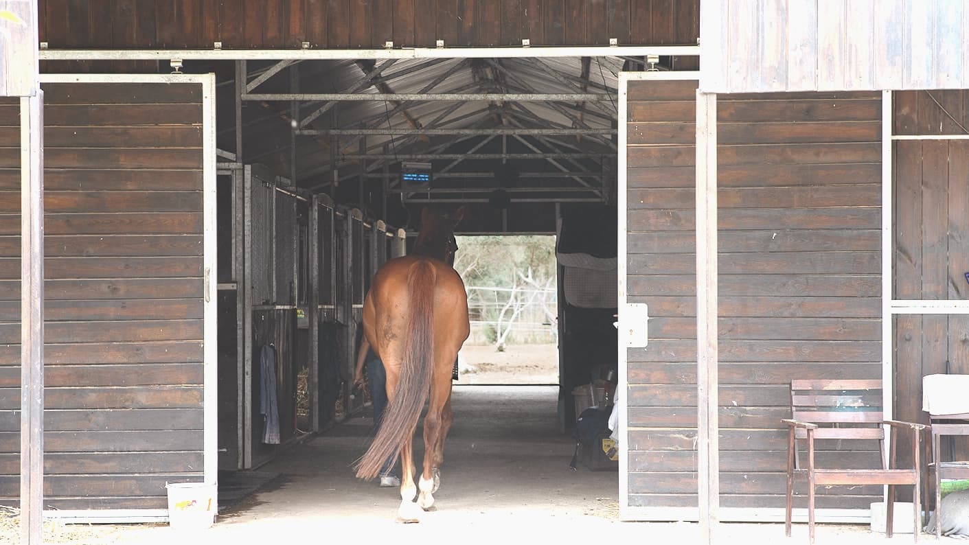 Paddocks