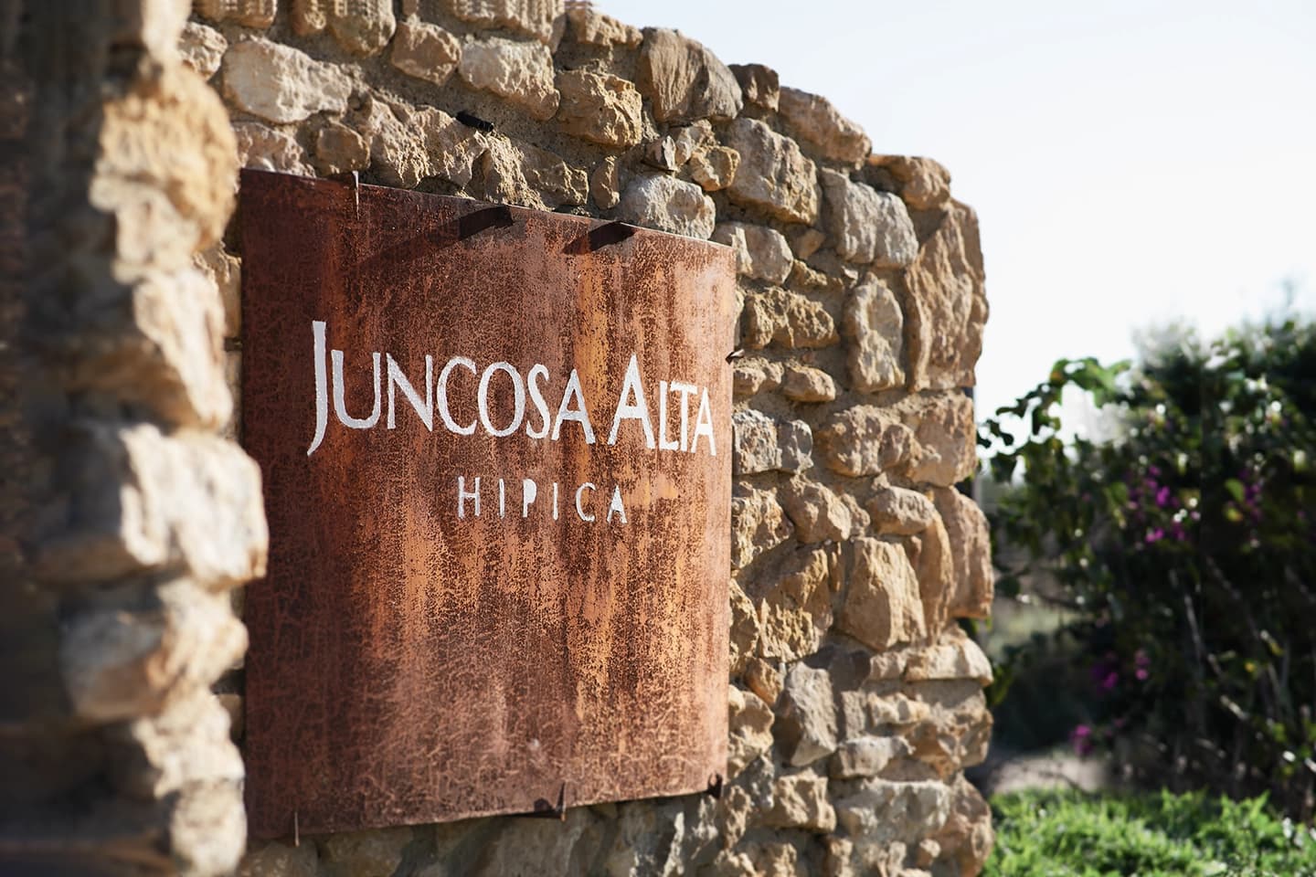 Juncosa Alta
