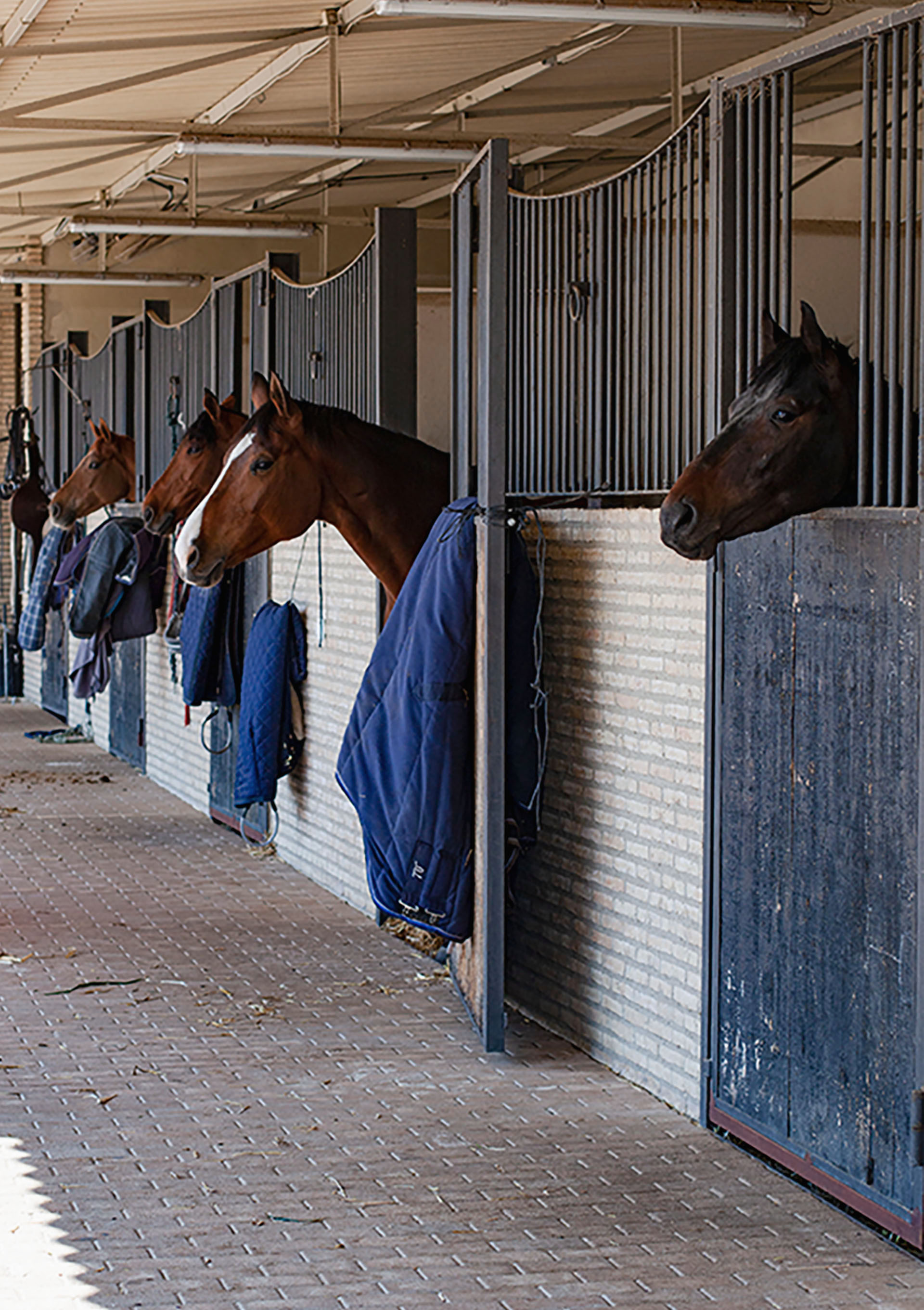 Boxes - Juncosa Alta