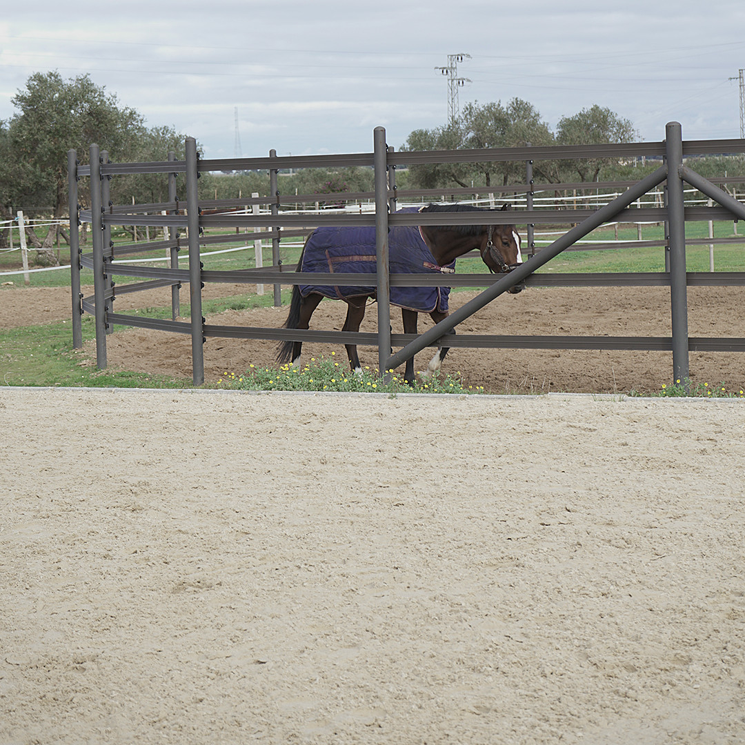 Pista de salto - Juncosa Alta